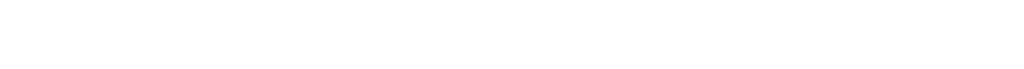 Webmasterdienst logo wit